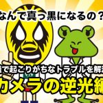 【なんで真っ黒になるの？】 テレビ会議で起こりがちなトラブルを解消します！「カメラの逆光編」