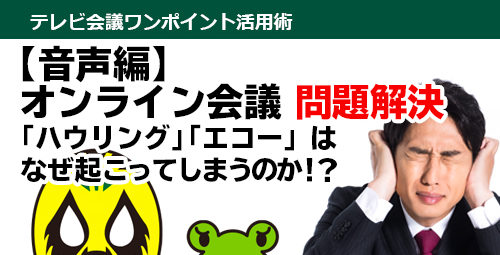 オンライン会議の問題を解決【音声編】 ハウリングやエコーはなぜ起こってしまうのか！？